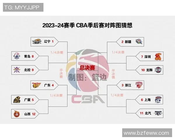 2019年CBA季后赛辽宁队与深圳队精彩对决回顾与分析