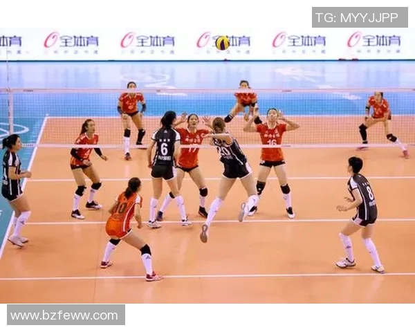 专访王娜：深入探讨她在排球领域取得成功的秘诀与心路历程