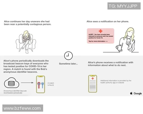 日本与欧美下载方式对比迅雷下载的优势与劣势分析