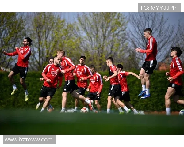 爱沙尼亚与匈牙利足球赛精彩比分揭晓双方表现分析与赛后点评