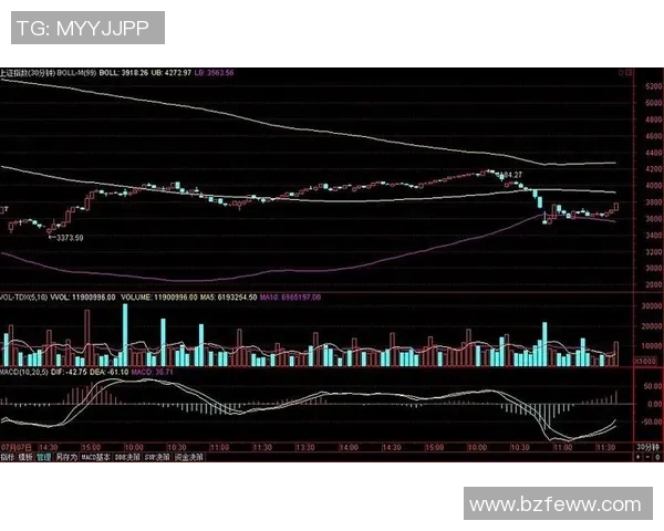 南京攀岩队在马拉松大满贯中的速度表现分析与点评