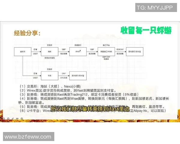 上海排球队战术解析与对比探讨助力球队提升竞争力